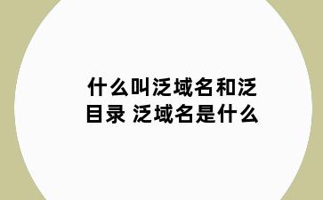 什么叫泛域名和泛目录 泛域名是什么